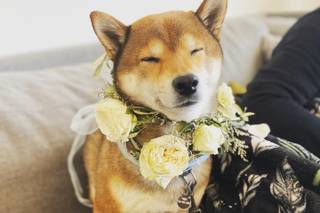 Luxury Floral Designs by Karla's Kreations - 124