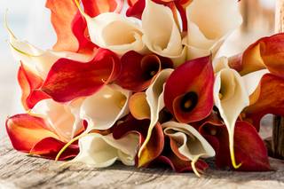 Demian Gibbs Photography - 35