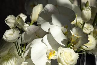 AMK Floral - 31