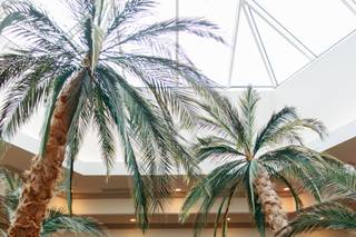 Caribe Royale Orlando - 14