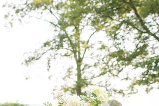 Blossom Bliss Florist - 148