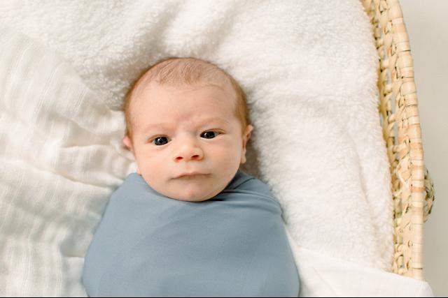 Deborah Zoe Photography - 1