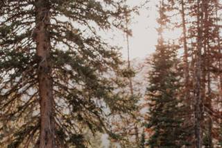 Jaime Maxine Photography - 23