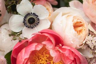 Palette of Petals - 32