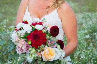 Fields in Bloom - 11