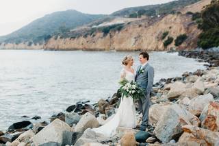 Honey Photographs - 10