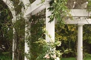 Bird Watching & Pruning Floral - 33