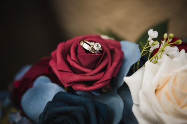 Erin McBrine Photography - 3