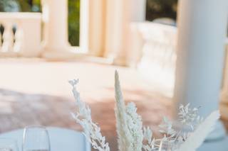 Michelle Angeli Photography - 8