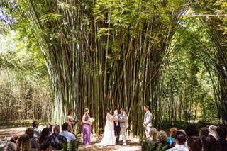 Kanapaha Botanical Gardens - 3