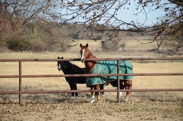 Hidden Acres Ranch - 3