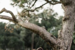 The Axtells: Wedding Photography & films - 61
