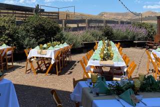 Spreafico Farms - 17