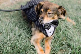 Angelica & Co. Weddings - 31