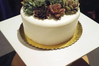 Succulently Urban - 8