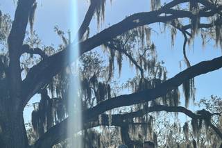Florida Rustic Barn Weddings - 89
