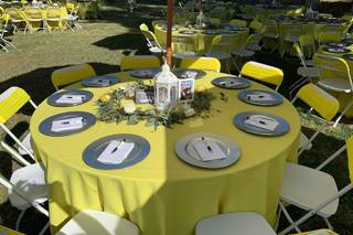Cruise Party Rentals - 7