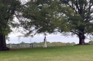 The Meadows at Firefly Farm Preserve - 39