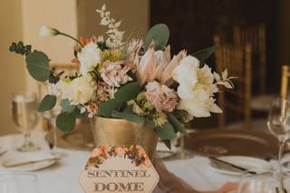 Erin Betts Events - 36