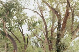 Alicia Lucia Photography - 95