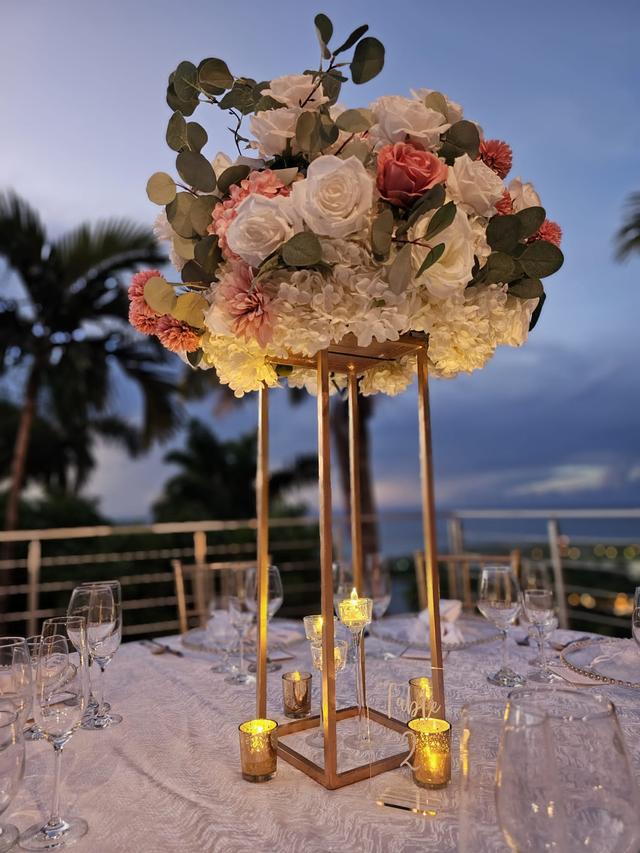 The Palm Terrace - 2