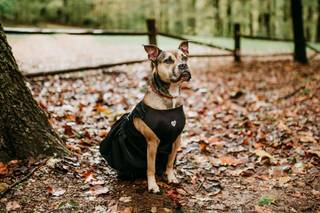 Karen Rainier Photography - 24