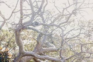 Sunny Lee Photography - 32