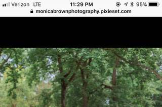 Monica Brown Photography - 16
