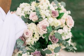 Hydrangea Bloom - 7