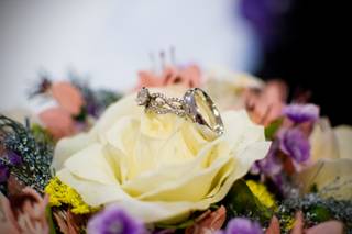 MBTaylor Photography - 9