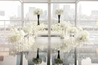 Starling Studio - 14