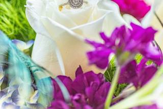 Jennifer Nicole Photography - 41
