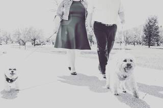 Wendy Schreier Photography - 55