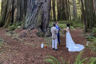 Weddings In The Wild - 61