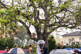 Here Is To Love Wedding Day Coordination - 44