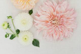 Petal & Posy - 8