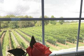 Jonathan Edwards Winery - 18