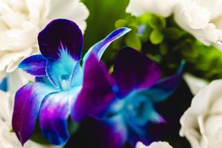 Blue Moon Event Planning - 14