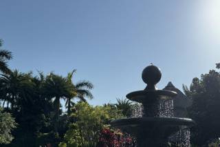 Longan's Place Miami / Redland - 18