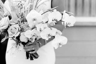 Phlox Tale Studio - 34