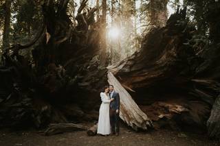 Joleen Willis Photography - 19