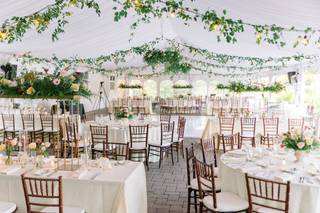 Desiree Dean Designs - 6