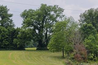 Walnut Grove Farm & Lodge - 6