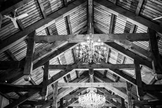 Timber Hill Farm - 23