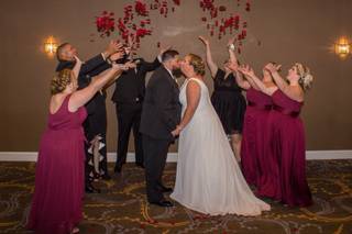 Southern Honeybee Photography - 21