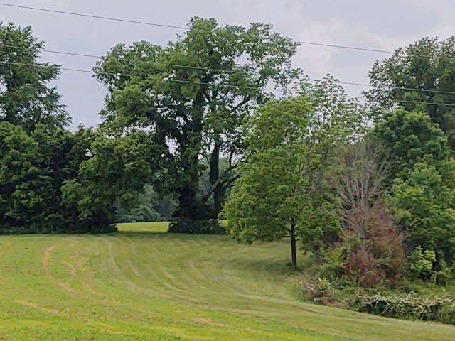 Walnut Grove Farm & Lodge - 1