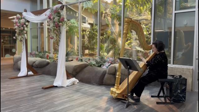 Laura Byrne Harpist - 1