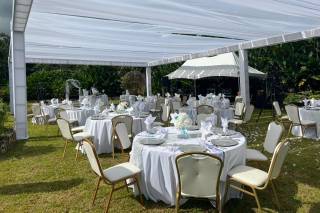 Alexari Events - 25