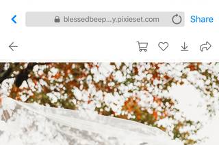 Blessed Bee Photography - 17