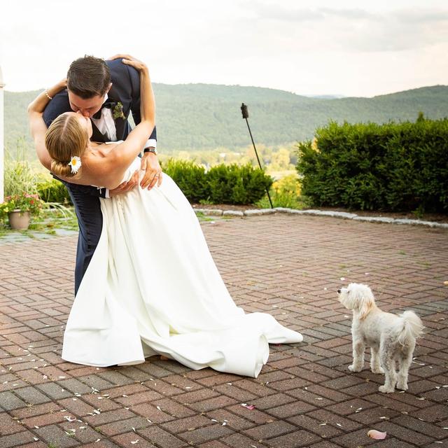 Michelle Frehsee Photography - 1